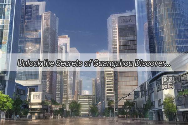 Unlock the Secrets of Guangzhou Discover the Thriving Parallel Import Hub